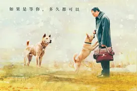 这一次，感动全世界的狗狗是一只中华田园犬图片