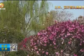 【短视频】兰州：花开枝头满眼春图片
