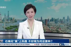 石楠花“臭”上热搜 不好闻为何还要种？图片