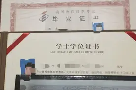 他上了个假大学，却逆袭成功图片