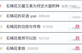 石楠花这么臭，为何还要种这么多？图片