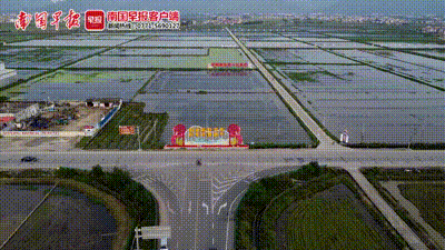 批发价高达276元/公斤！广西这里养殖的小龙虾，火了！图片