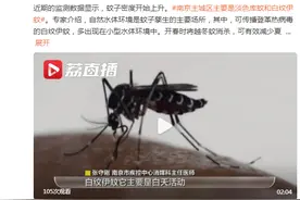 嗡嗡嗡来了！南京疾控监测到蚊子已上线图片