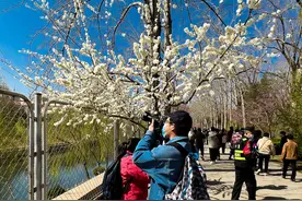 “特种兵式旅游”爆火？专家：基于时间和经济成本双重考虑图片
