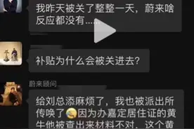 网传蔚来车主疑似涉嫌骗补被传唤，客服称尚不清楚调查结果，经销商：没有操作空间图片