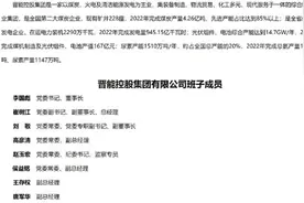 千亿能源国企副总，辞任A股公司董事长图片