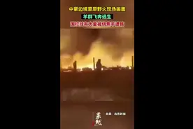 中蒙边境草原野火现场：羊群飞奔逃生，围栏挂有大量被烧焦羊遗骸图片