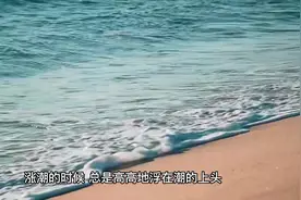 七一AI创作｜一只贝壳的故事图片