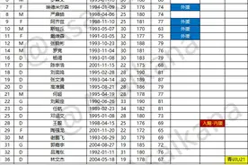 中超16队上半赛季完整球员名单：三镇泰山等队5外援，深圳2外援图片