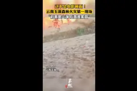 云南玉溪森林火灾第一现场，“前面是火海，后面是家园”图片