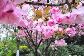 那一日，把阳光照在了心里图片
