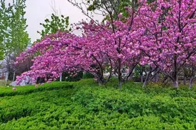 青未了‖刘学光～花园里的欢笑图片