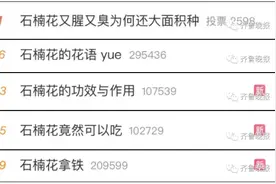 石楠花“臭”上热搜，为何还种？图片