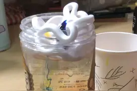 漂亮的彩虹雨｜烟台中小学生习作园地图片