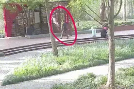 专心打着游戏，殊不知这时……图片