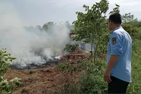 武汉江夏城管巧用机械，扑灭秸秆焚烧图片