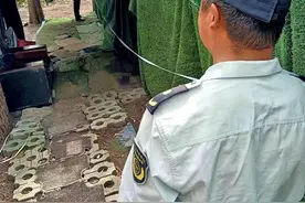 违建隐身树林，武汉径河城管及时拆除图片