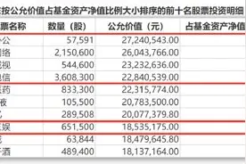 新能源还有机会吗？这些知名基金经理出手图片