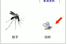 罕见！发现1例确诊病例！西安曾有人中招图片