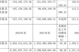 泉峰汽车：2022年亏损1.54亿元图片
