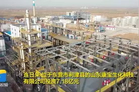 利津：打造全球最大产能三氯蔗糖生产基地图片