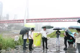 世界地球日：地质专家解密重庆地质演化过程图片