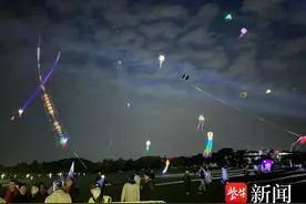 “筝”奇斗艳 精彩纷呈！18支队伍竞逐徐州大龙湖风筝节图片