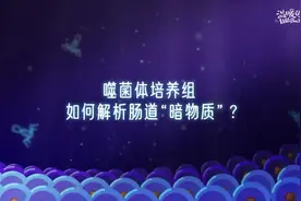 科学家揭秘肠道“暗物质”图片
