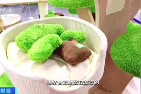 聚焦第133届广交会丨实用宠物用品受热捧，宠物也有车载专用座椅了图片