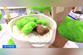 聚焦第133届广交会丨实用宠物用品受热捧，宠物也有车载专用座椅了图片