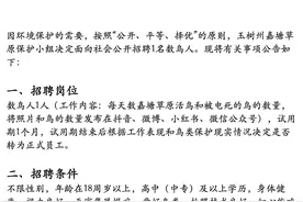 试用期月薪1万招聘“数鸟人”，负责人：包住不包吃，需自带相机，工作内容不轻松图片