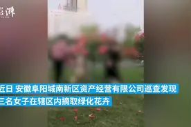 三名女子摘绿化月季发视频配乐“大王来抓我啊”，被罚两百元图片