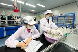 如何叫响“青海牛奶”大品牌？图片