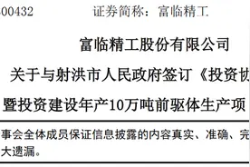 富临精工与射洪市人民政府签订协议书，拟投资建设年产 10 万吨前驱体生产项目图片