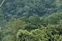 景区高空杂技表演竹竿突然断裂演员坠入水中引担忧，相关方回应：节目效果图片