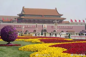迎节日！天安门广场花卉景观上新图片