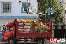 湖南：加强粮食收储和流通能力建设 夯实粮食安全根基图片