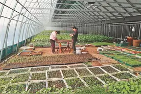 设施农业风景这边独好｜“追光”温室 冷热随心图片
