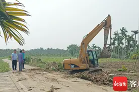 让“良田”回归“粮田” 琼海博鳌耕地“非粮化”整治提速图片