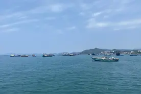 探访深圳“海洋牧场”：珊瑚种在“幼儿园”，海洋生物有了“精装房”图片