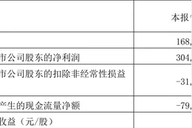 大智慧：2023年一季度盈利3.05亿元 同比扭亏图片