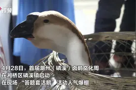 “一圈套中双鹅，我要养到过年！” | 在+逛卤鹅文化周图片