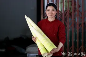 竹山县：竹笋成为农民增收致富笋图片