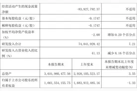 天准科技：2023年一季度亏损3344.06万元图片