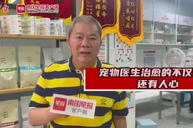 宠物医生治愈的不仅是动物，还有人心丨世界兽医日图片