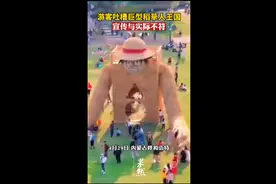 游客吐槽巨型稻草人王国宣传与实际不符图片