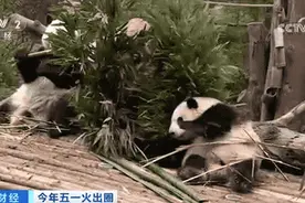 排队超2小时，只看3分钟！新晋“顶流”火遍全国图片
