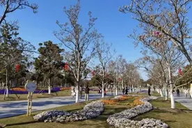 “五一”在闵行，如何“特种兵”式遛娃？图片