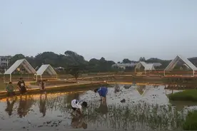 “村游”中感受田园慢生活，市郊“微旅游”火出圈图片