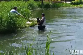 下水救人，青岛戴志磊 你可太帅了！图片